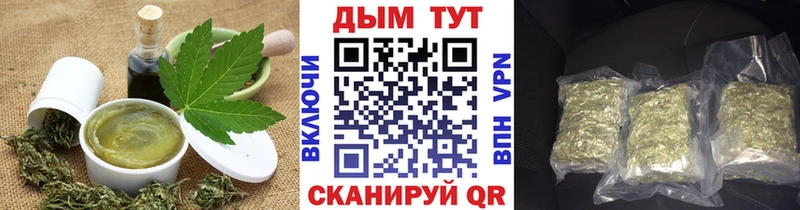 Cannafood конопля  hydra сайт  Новотитаровская 