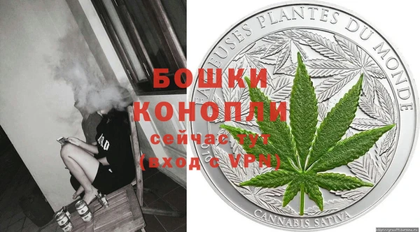 шишки Алексеевка