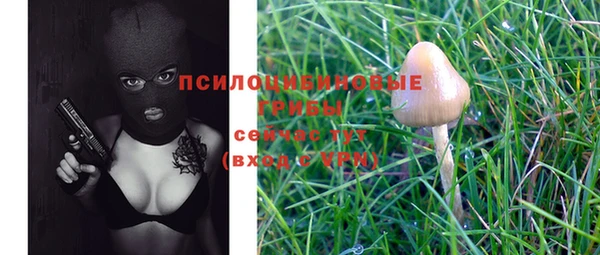 спайс Алзамай