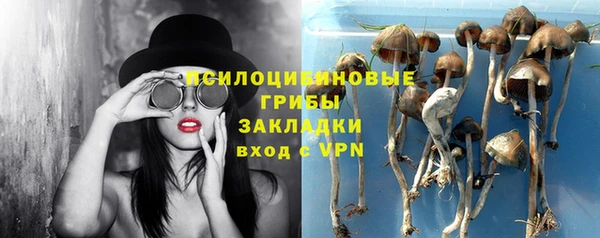 герыч Алексин
