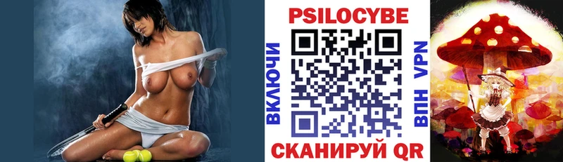 Галлюциногенные грибы MAGIC MUSHROOMS  мега онион  Новотитаровская 