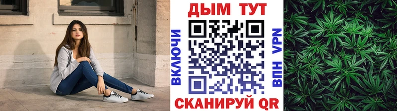 Бошки марихуана сатива  Новотитаровская 